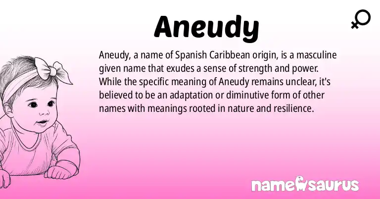 Infographic about Aneudy name meaning, Aneudy is a name from Spanish (Caribbean) origin(s).