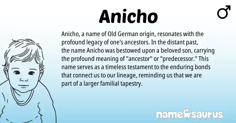 Infographic about Anicho name meaning, Anicho is a name from Old German origin(s).