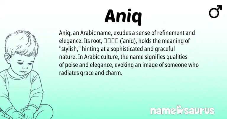 Infographic about Aniq name meaning, Aniq is a name from Arabic origin(s).