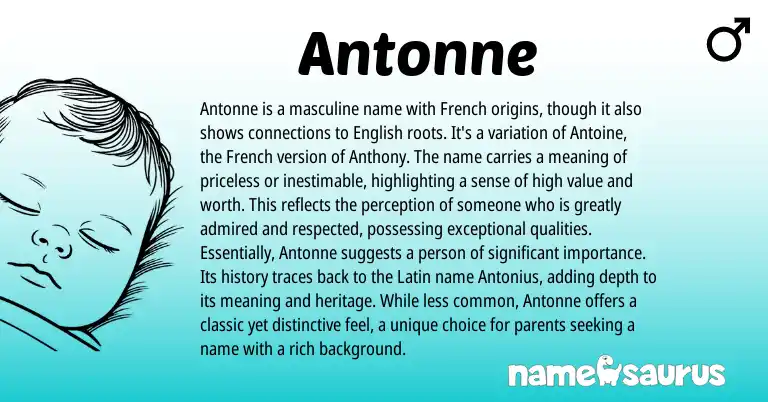 Infographic about Antonne name meaning, Antonne is a name from French origin(s).