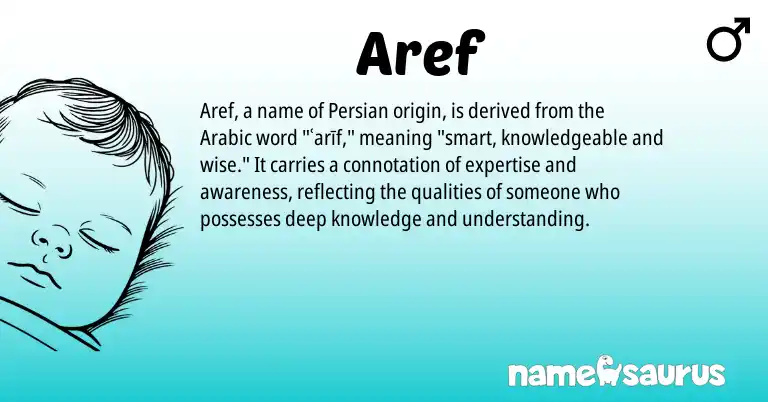 Infographic about Aref name meaning, Aref is a name from Persian, Arabic origin(s).