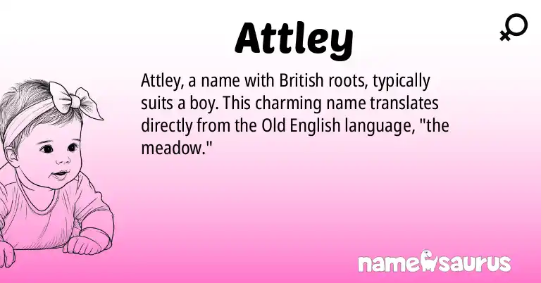 Infographic about Attley name meaning, Attley is a name from British origin(s).