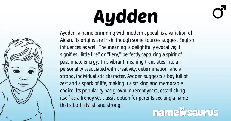 Infographic about Aydden name meaning, Aydden is a name from Irish origin(s).