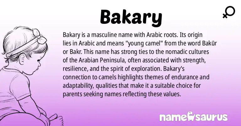 Infographic about Bakary name meaning, Bakary is a name from Arabic origin(s).