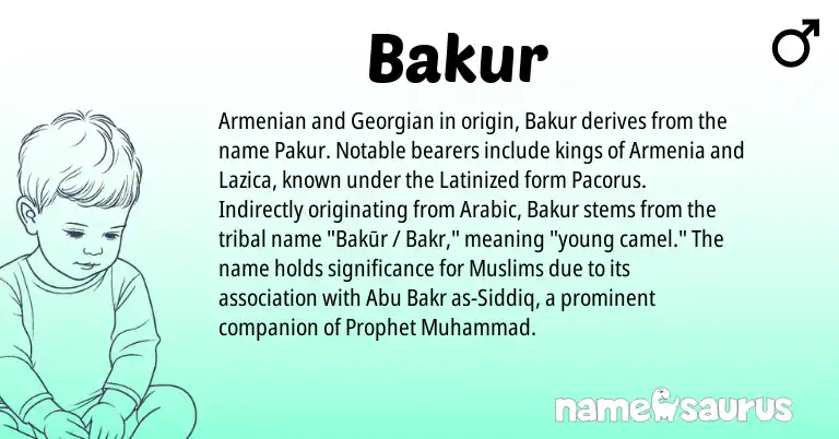 Infographic about Bakur name meaning, Bakur is a name from Armenian, Georgian, Arabic origin(s).