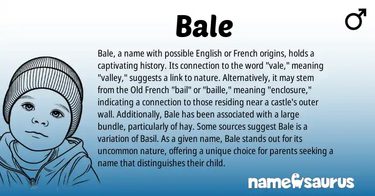 Infographic about Bale name meaning, Bale is a name from English, French, Old French origin(s).