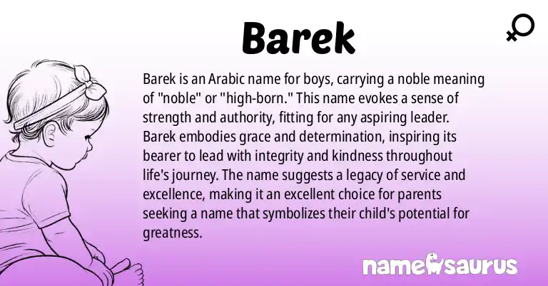 Infographic about Barek name meaning, Barek is a name from Arabic origin(s).