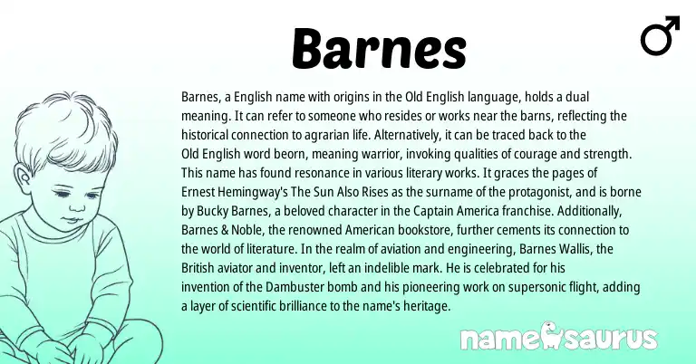 Infographic about Barnes name meaning, Barnes is a name from Old English, English, British, American origin(s).
