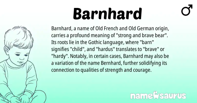 Infographic about Barnhard name meaning, Barnhard is a name from Old German, Gothic, Old French origin(s).