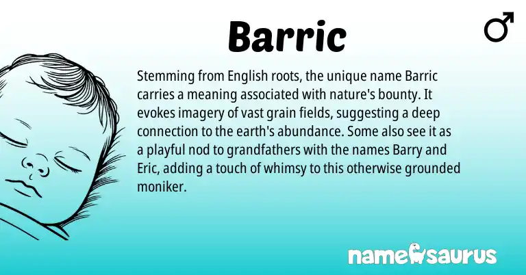 Infographic about Barric name meaning, Barric is a name from English origin(s).