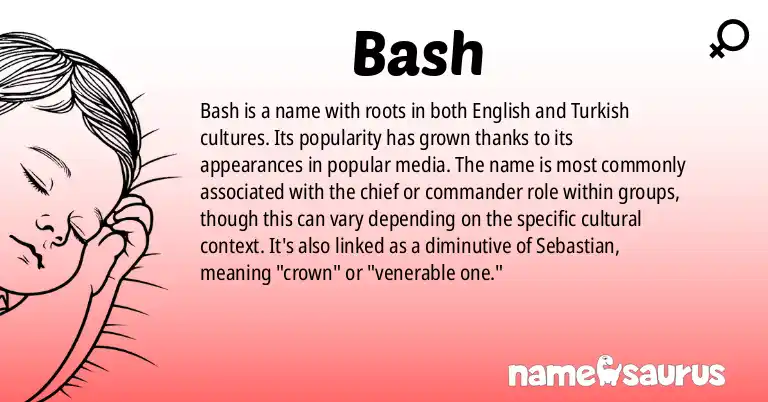 Infographic about Bash name meaning, Bash is a name from English, Popular Culture, Turkish origin(s).