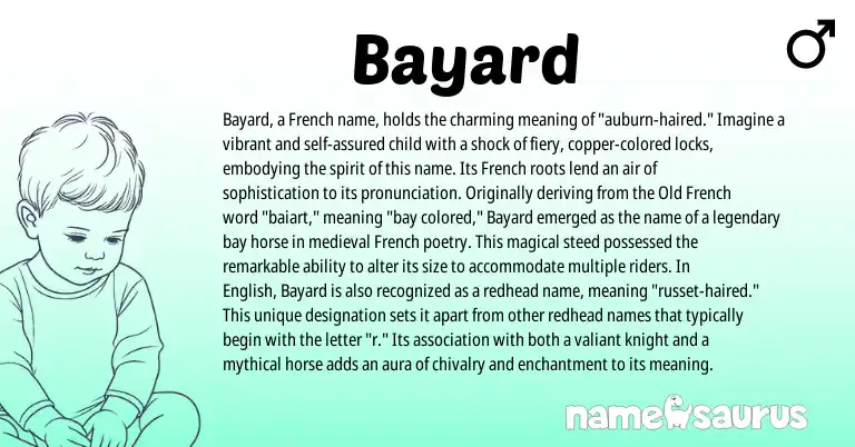 Infographic about Bayard name meaning, Bayard is a name from English, French, Old French origin(s).