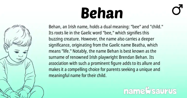 Infographic about Behan name meaning, Behan is a name from Irish, Gaelic origin(s).