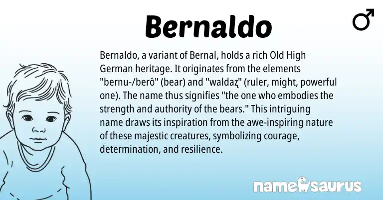 Infographic about Bernaldo name meaning, Bernaldo is a name from Old High German origin(s).