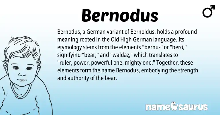 Infographic about Bernodus name meaning, Bernodus is a name from Old High German, German origin(s).