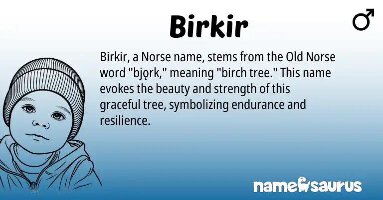 Infographic about Birkir name meaning, Birkir is a name from Old Norse, Norse origin(s).