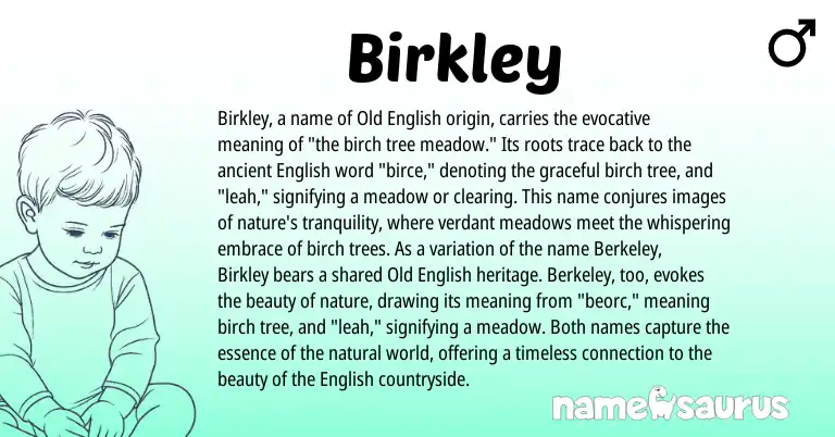 Infographic about Birkley name meaning, Birkley is a name from Old English, English origin(s).