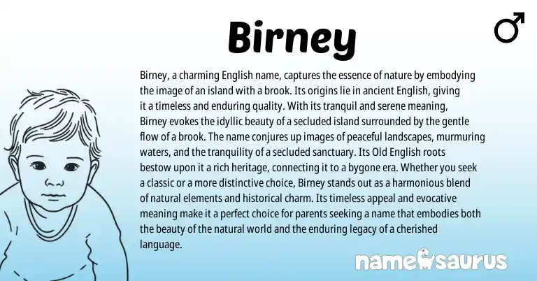 Infographic about Birney name meaning, Birney is a name from Old English, English origin(s).