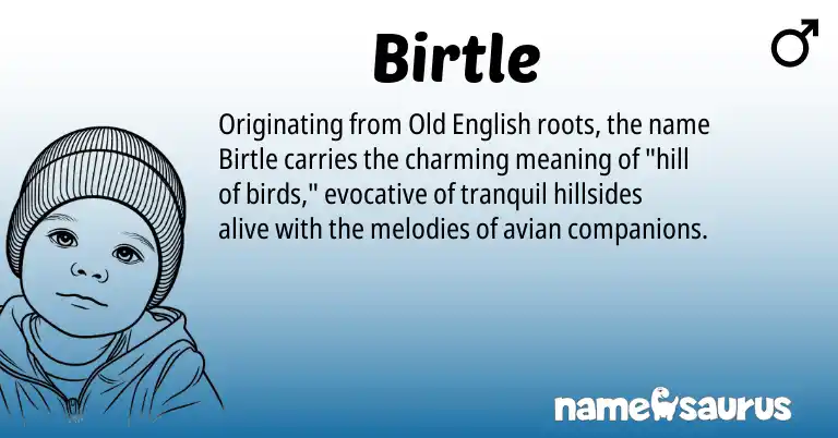 Infographic about Birtle name meaning, Birtle is a name from Old English origin(s).