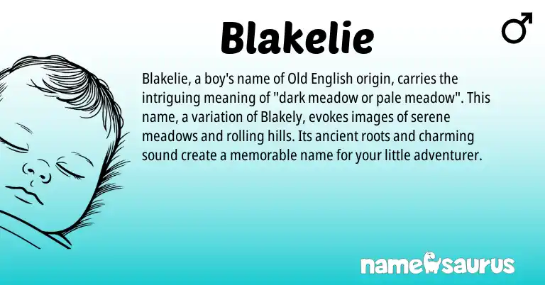 Infographic about Blakelie name meaning, Blakelie is a name from Old English origin(s).