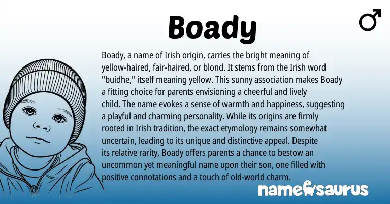 Infographic about Boady name meaning, Boady is a name from Irish origin(s).