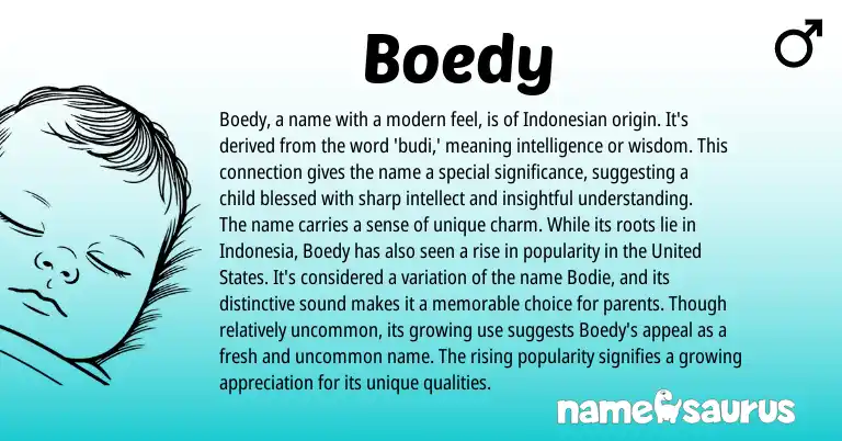 Infographic about Boedy name meaning, Boedy is a name from Indonesian, American origin(s).