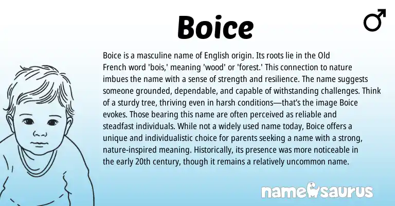Infographic about Boice name meaning, Boice is a name from French, English origin(s).