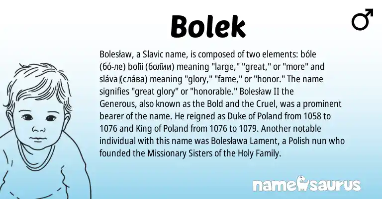 Infographic about Bolek name meaning, Bolek is a name from Slavic, Polish origin(s).