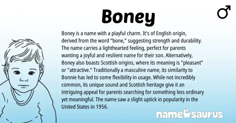 Infographic about Boney name meaning, Boney is a name from English origin(s).