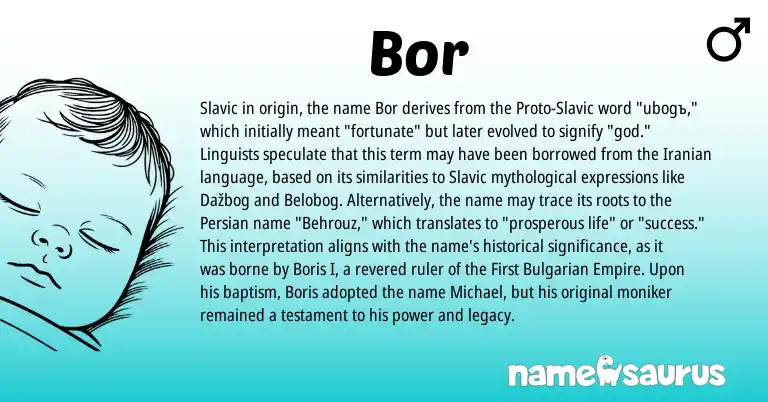 Infographic about Bor name meaning, Bor is a name from Iranian, Slavic, Persian, Bulgarian origin(s).