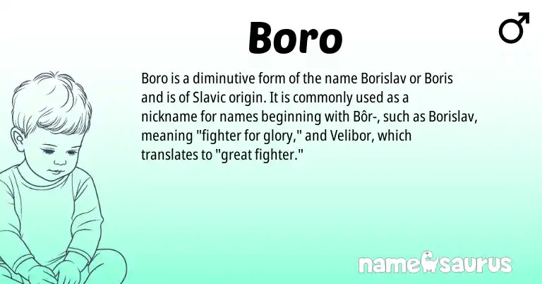 Infographic about Boro name meaning, Boro is a name from Slavic origin(s).