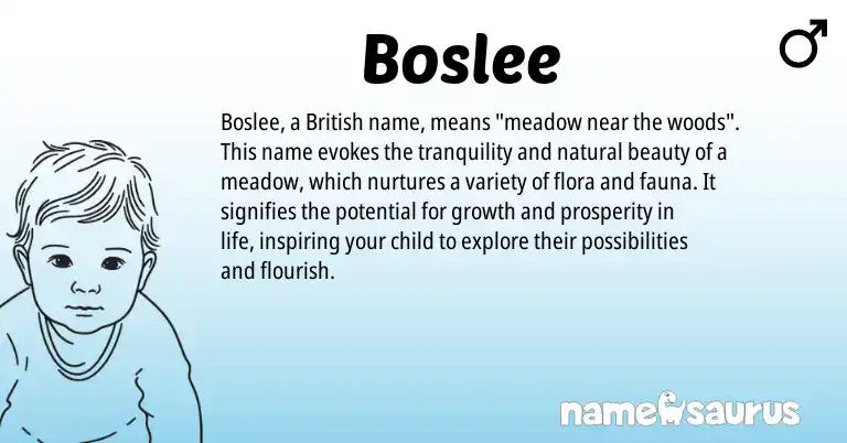 Infographic about Boslee name meaning, Boslee is a name from British origin(s).