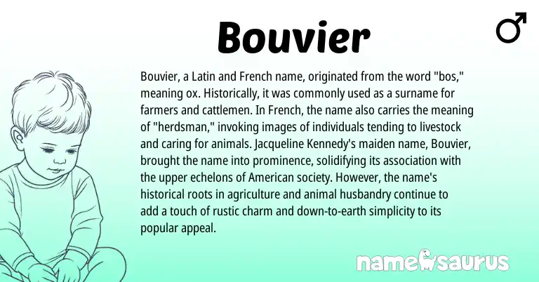 Infographic about Bouvier name meaning, Bouvier is a name from French, Latin, American origin(s).