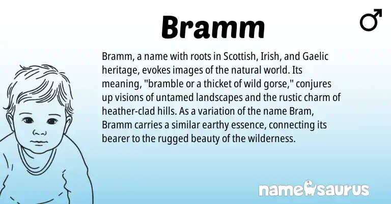 Infographic about Bramm name meaning, Bramm is a name from Irish, Gaelic, Scottish origin(s).