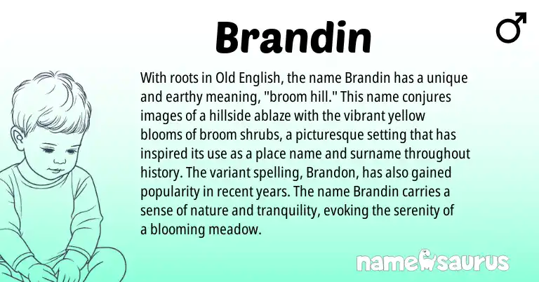 Infographic about Brandin name meaning, Brandin is a name from Old English origin(s).