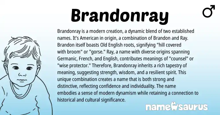 Infographic about Brandonray name meaning, Brandonray is a name from Other origin(s).