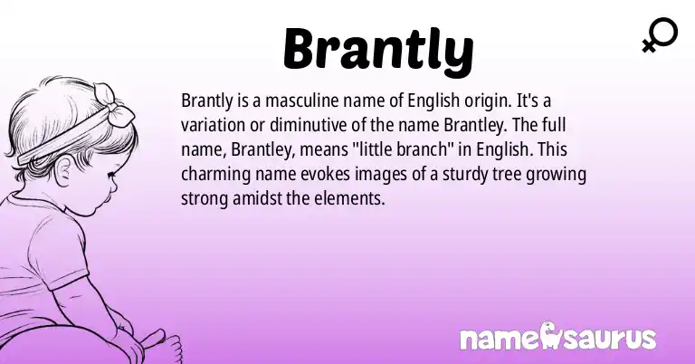 Infographic about Brantly name meaning, Brantly is a name from English origin(s).