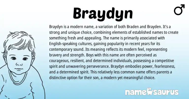 Infographic about Braydyn name meaning, Braydyn is a name from Other origin(s).