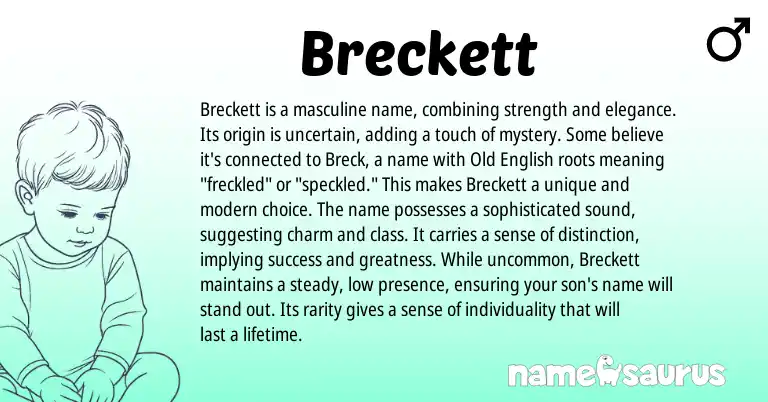 Infographic about Breckett name meaning, Breckett is a name from Other origin(s).