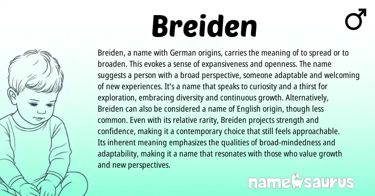 Infographic about Breiden name meaning, Breiden is a name from Germanic, English origin(s).