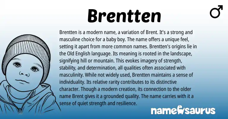 Infographic about Brentten name meaning, Brentten is a name from English origin(s).