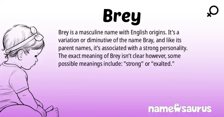 Infographic about Brey name meaning, Brey is a name from English origin(s).