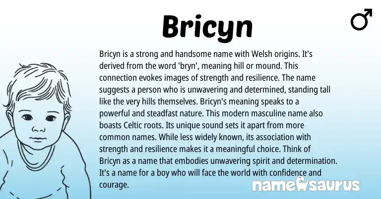 Infographic about Bricyn name meaning, Bricyn is a name from Welsh origin(s).