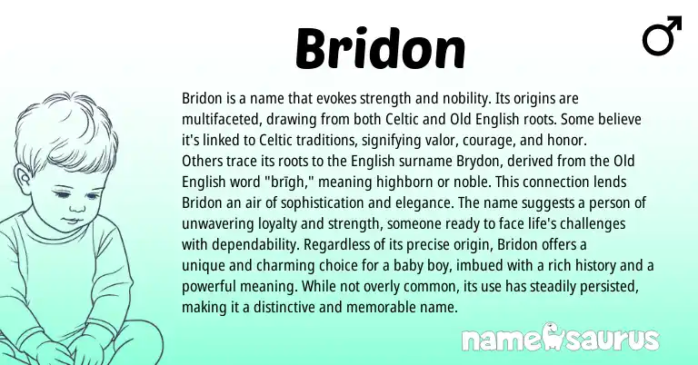 Infographic about Bridon name meaning, Bridon is a name from Celtic origin(s).