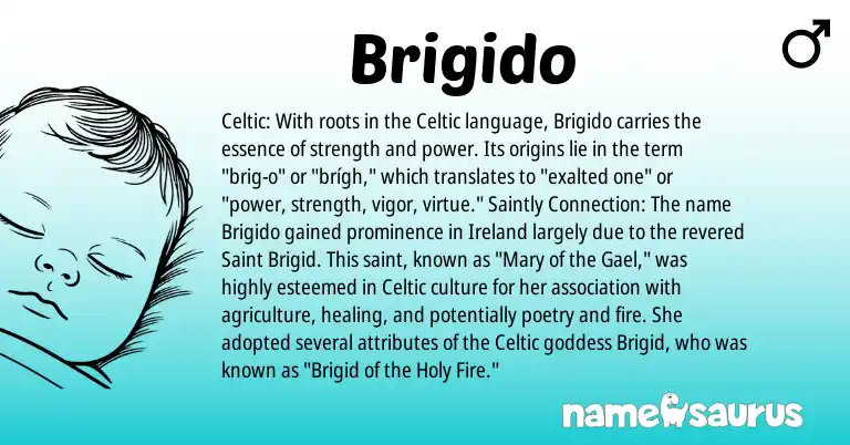 Infographic about Brigido name meaning, Brigido is a name from Ireland, Celtic origin(s).