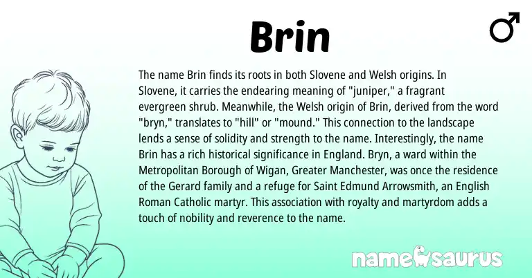 Infographic about Brin name meaning, Brin is a name from English, Welsh, England, Roman, Slovene origin(s).