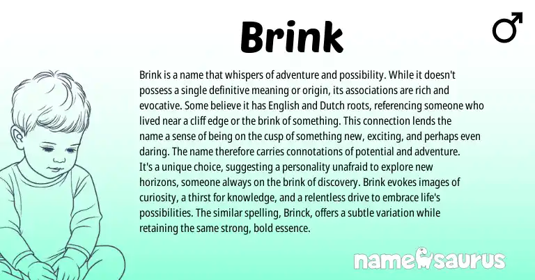 Infographic about Brink name meaning, Brink is a name from Other origin(s).