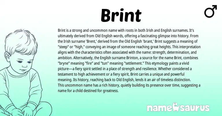 Infographic about Brint name meaning, Brint is a name from English, Irish, American origin(s).