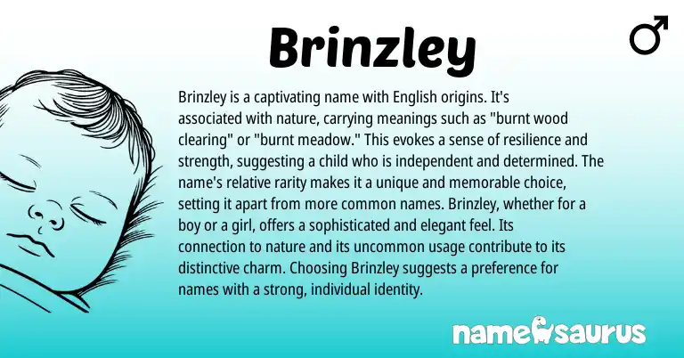 Infographic about Brinzley name meaning, Brinzley is a name from English origin(s).