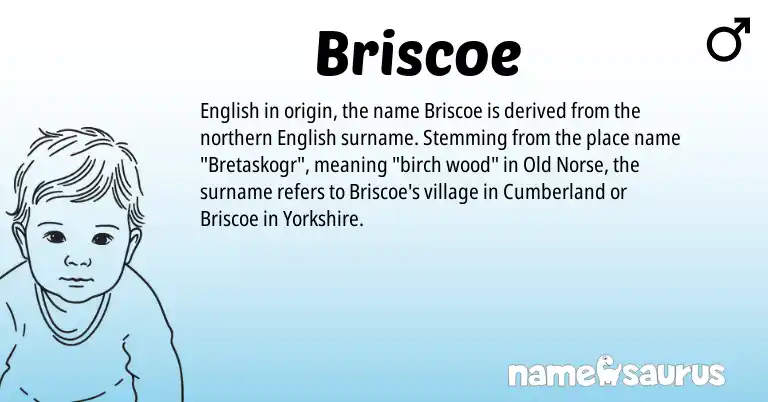 Infographic about Briscoe name meaning, Briscoe is a name from Old Norse, English origin(s).